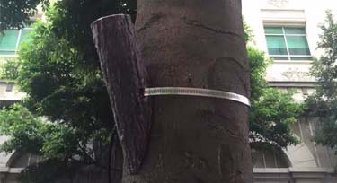 光臣照明CREE仿真照樹燈定制分享