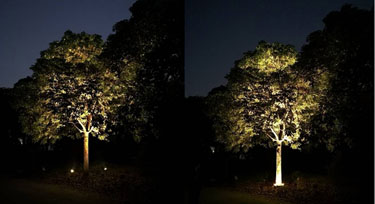 LED抱樹燈VS投光燈 在園林亮化中哪個應用效果好?